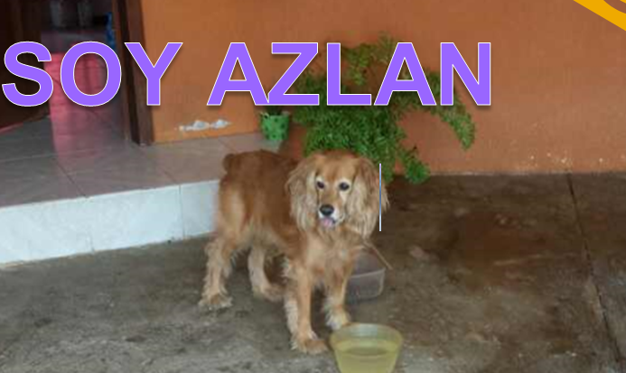 AZLAN