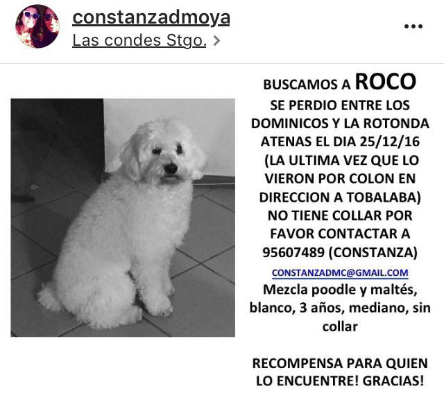 Roco