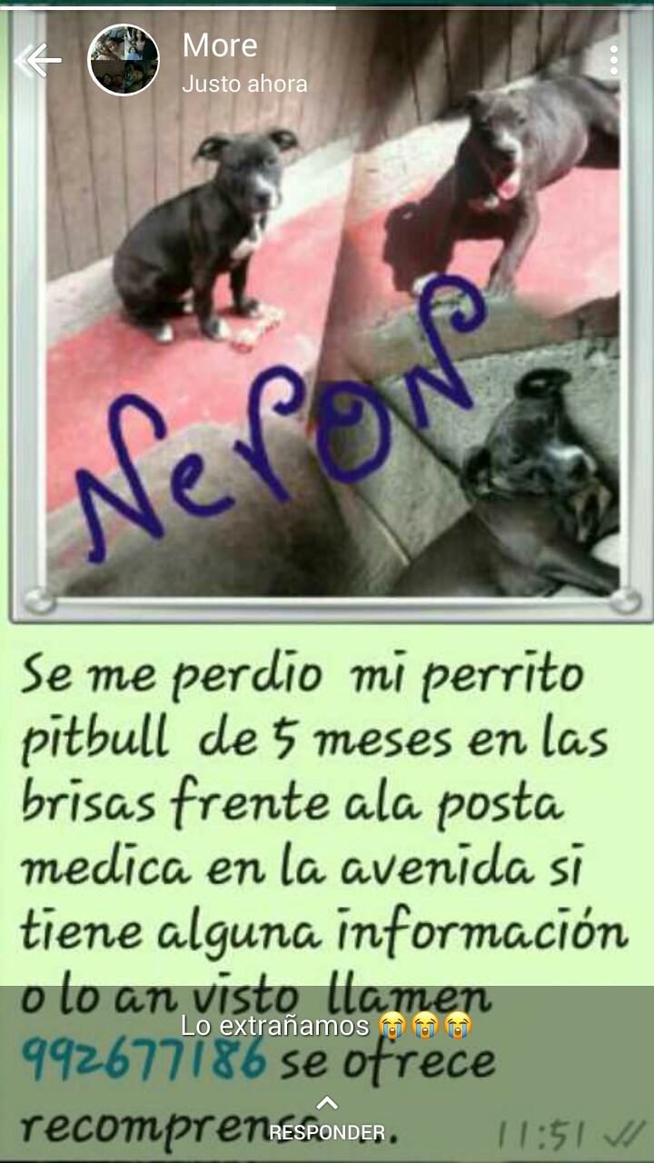 Neron