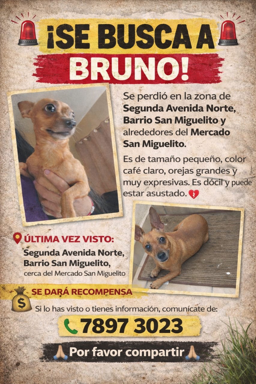 BRUNO