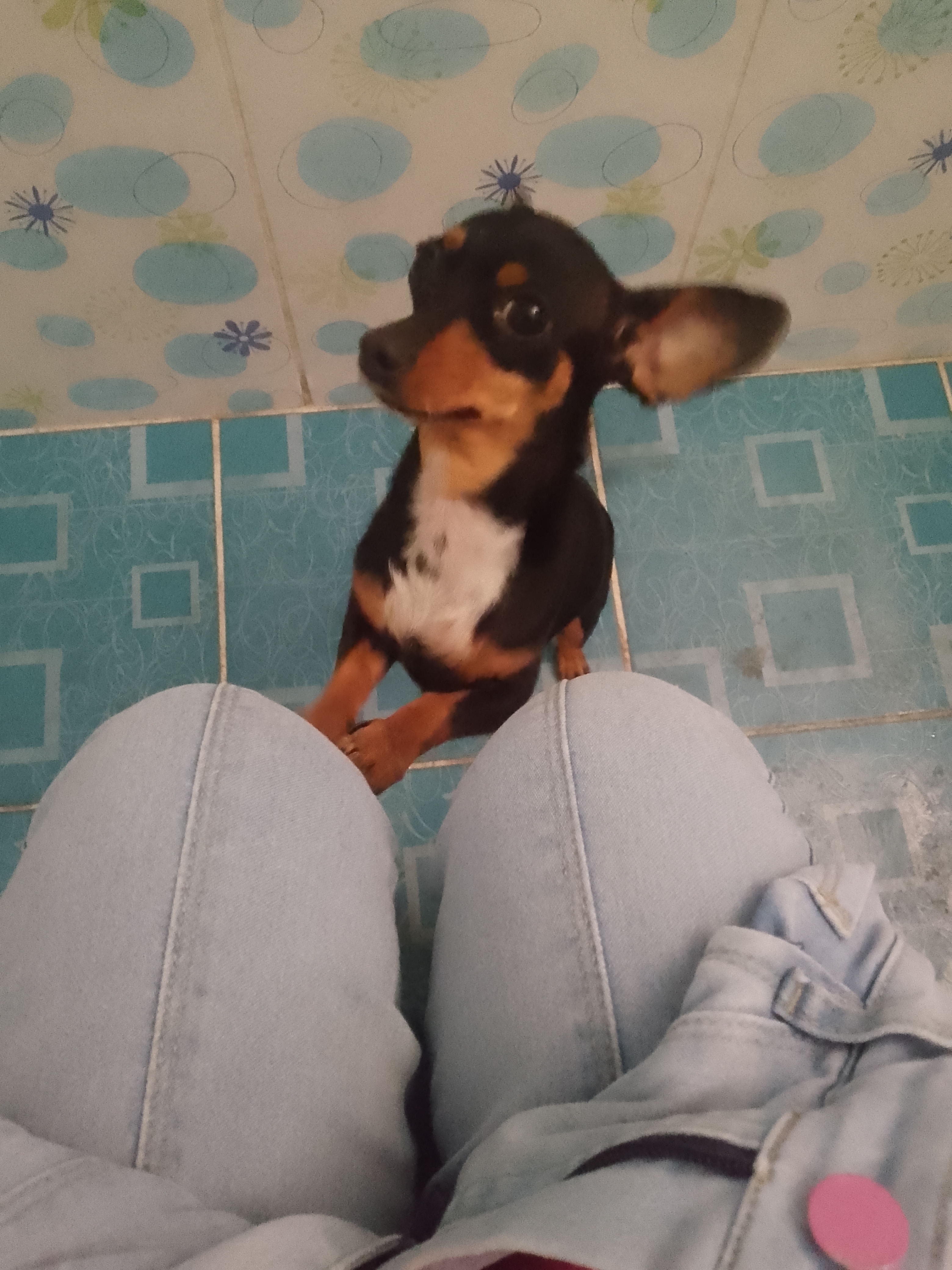 Lili