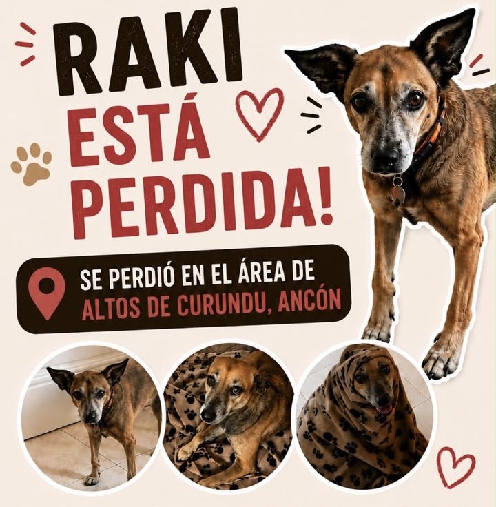 Raki
