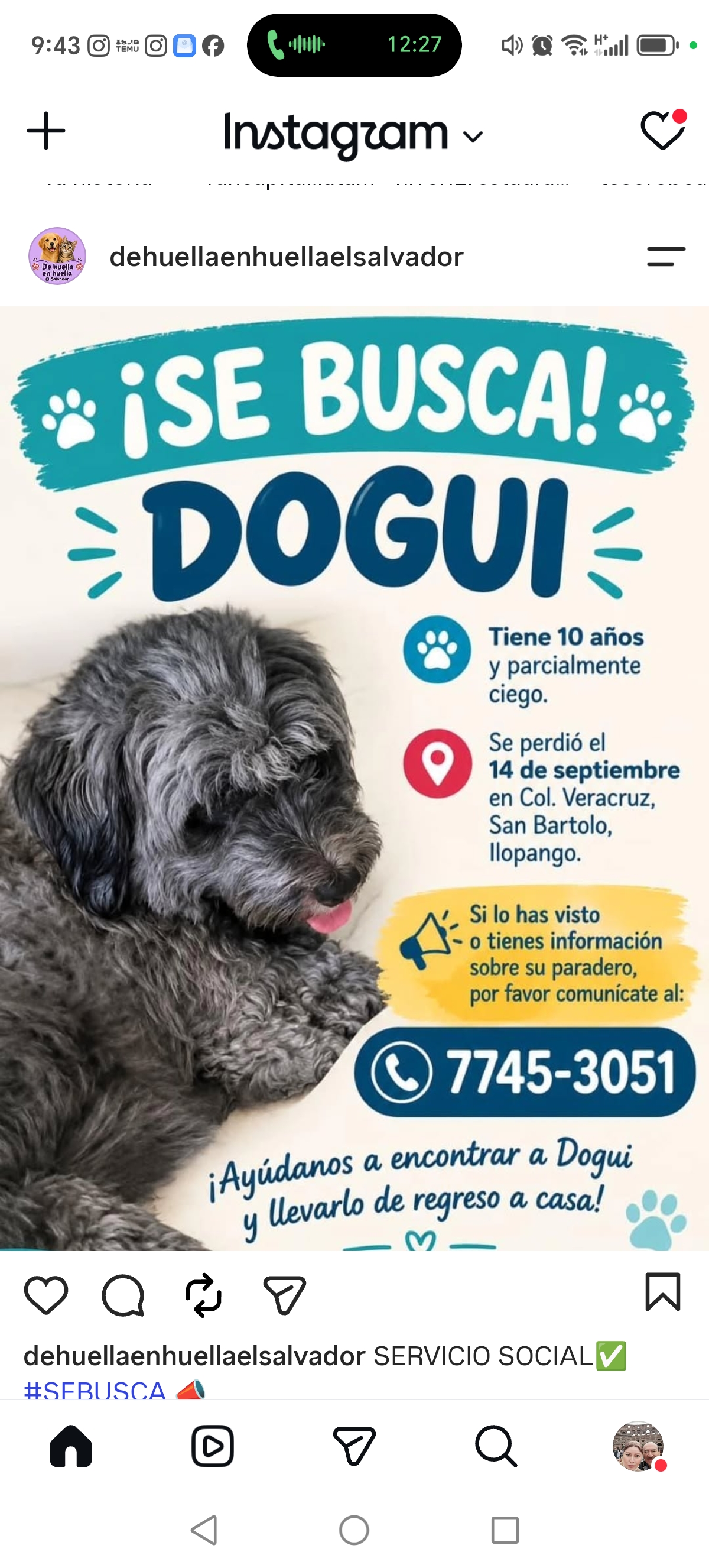 Dogui